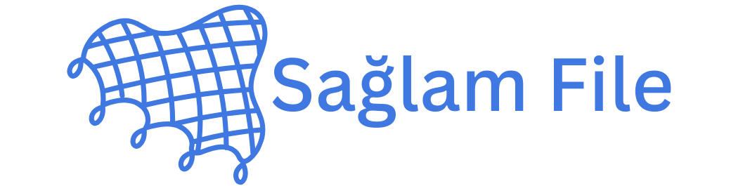Sağlam File